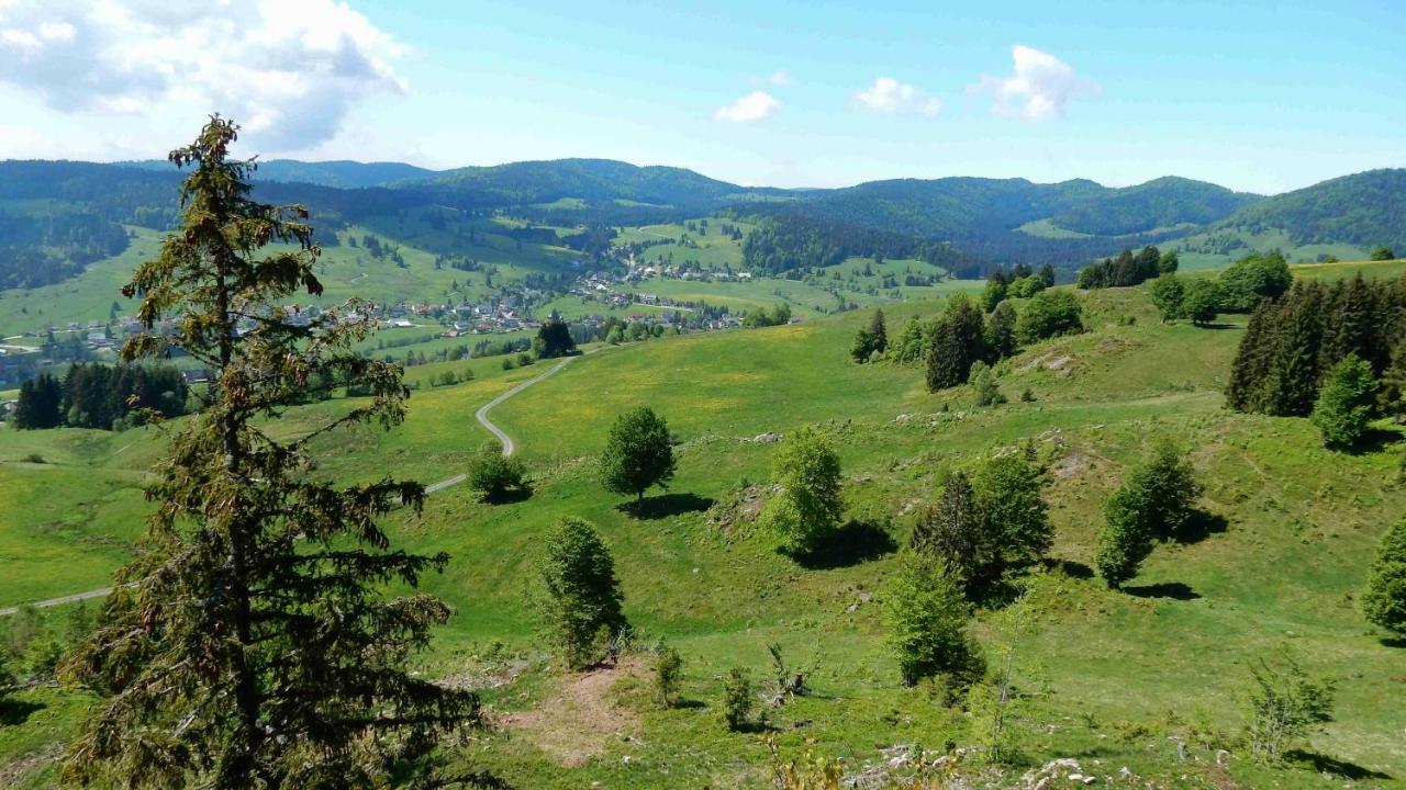 Weitblick "Entspannen - Wohlfuehlen - Aktiv Erholen" Elzach Exterior foto