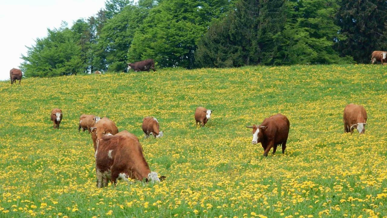 Weitblick "Entspannen - Wohlfuehlen - Aktiv Erholen" Elzach Exterior foto