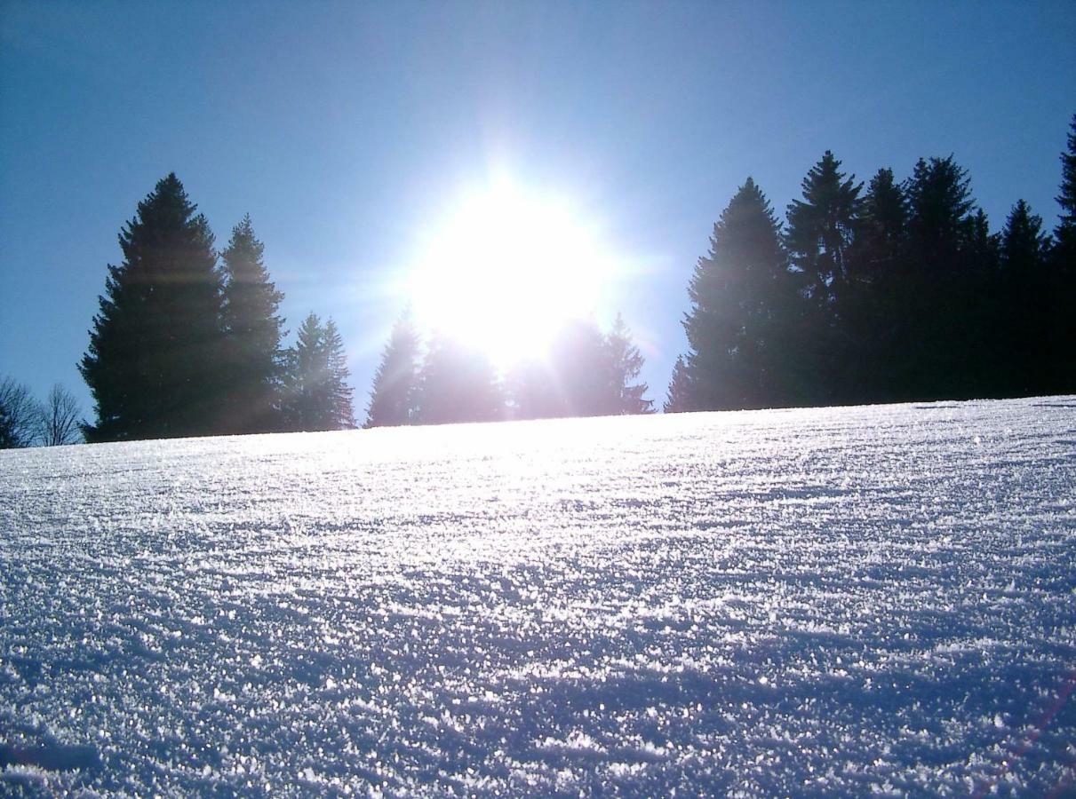 Weitblick "Entspannen - Wohlfuehlen - Aktiv Erholen" Elzach Exterior foto
